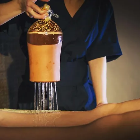 The Originals Le Chateau De Poitiers Hotel Dissay